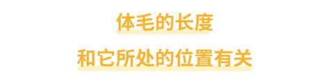 身上長白毛|身上有一根毛特別長，是長壽象徵，還是癌變前兆？